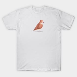 Ruddy Quail Dove T-Shirt